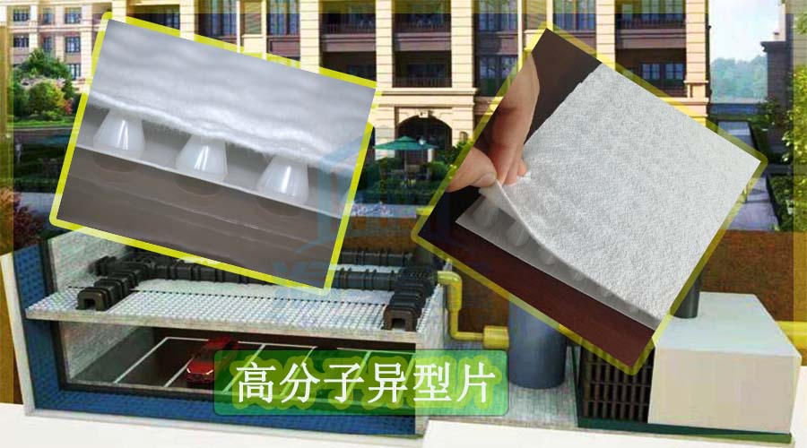 高分子异型片1.jpg